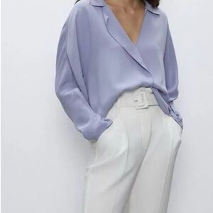 Aritzia Babaton Martin Blouse